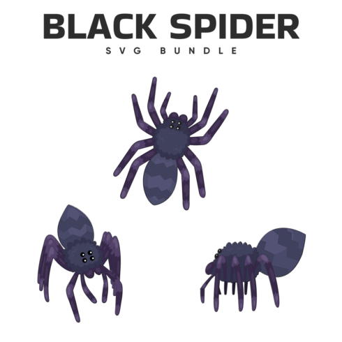 black spider svg.