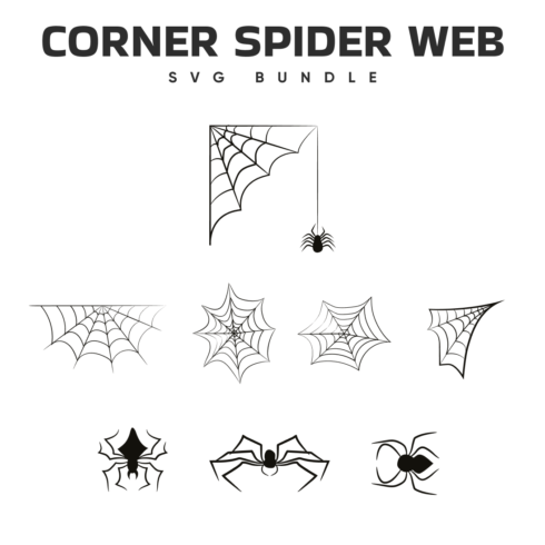 corner spider web svg.