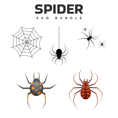 free spider svg.