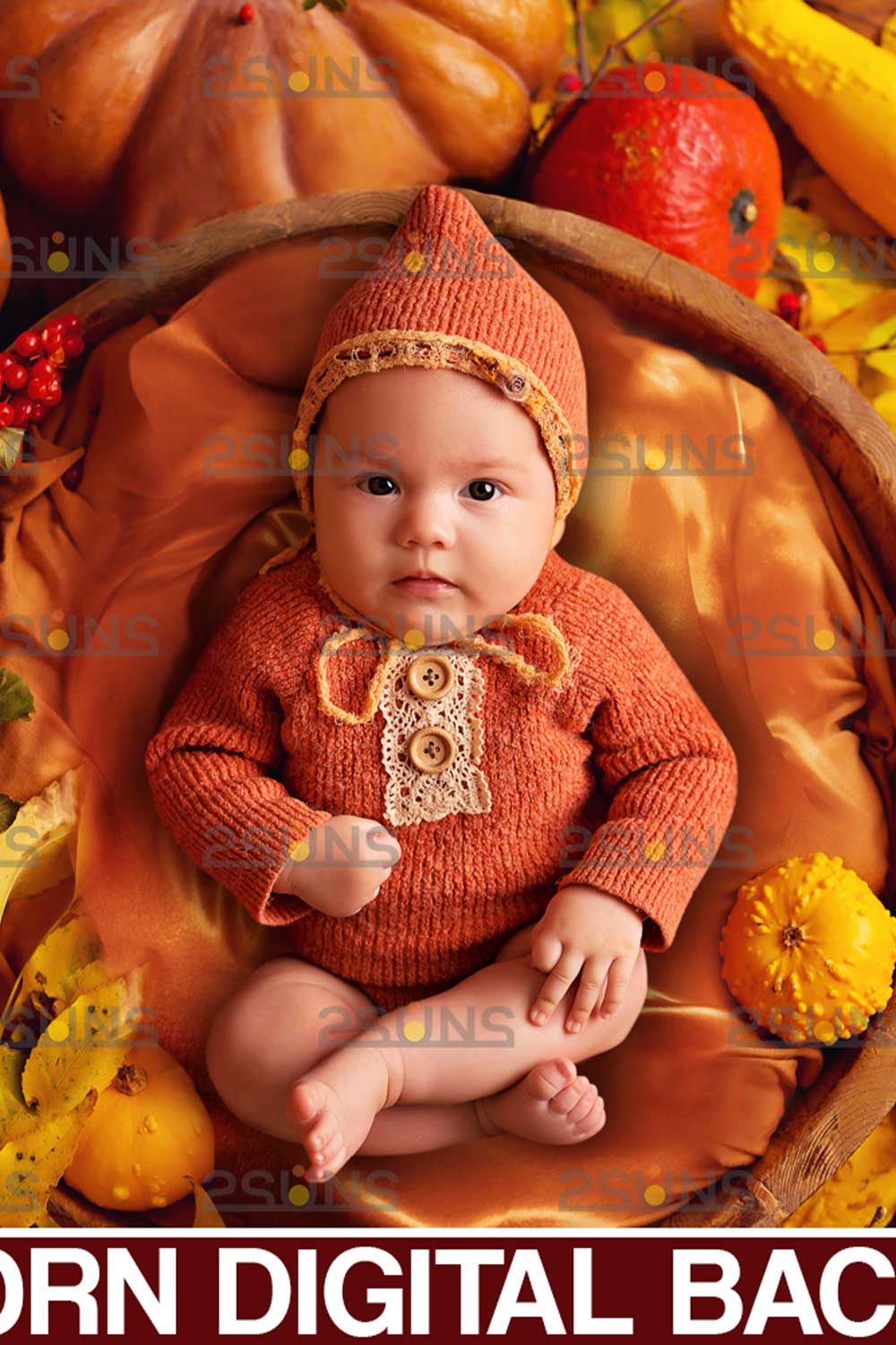 Newborn Baby Autumn Backdrop Pinterest Image.
