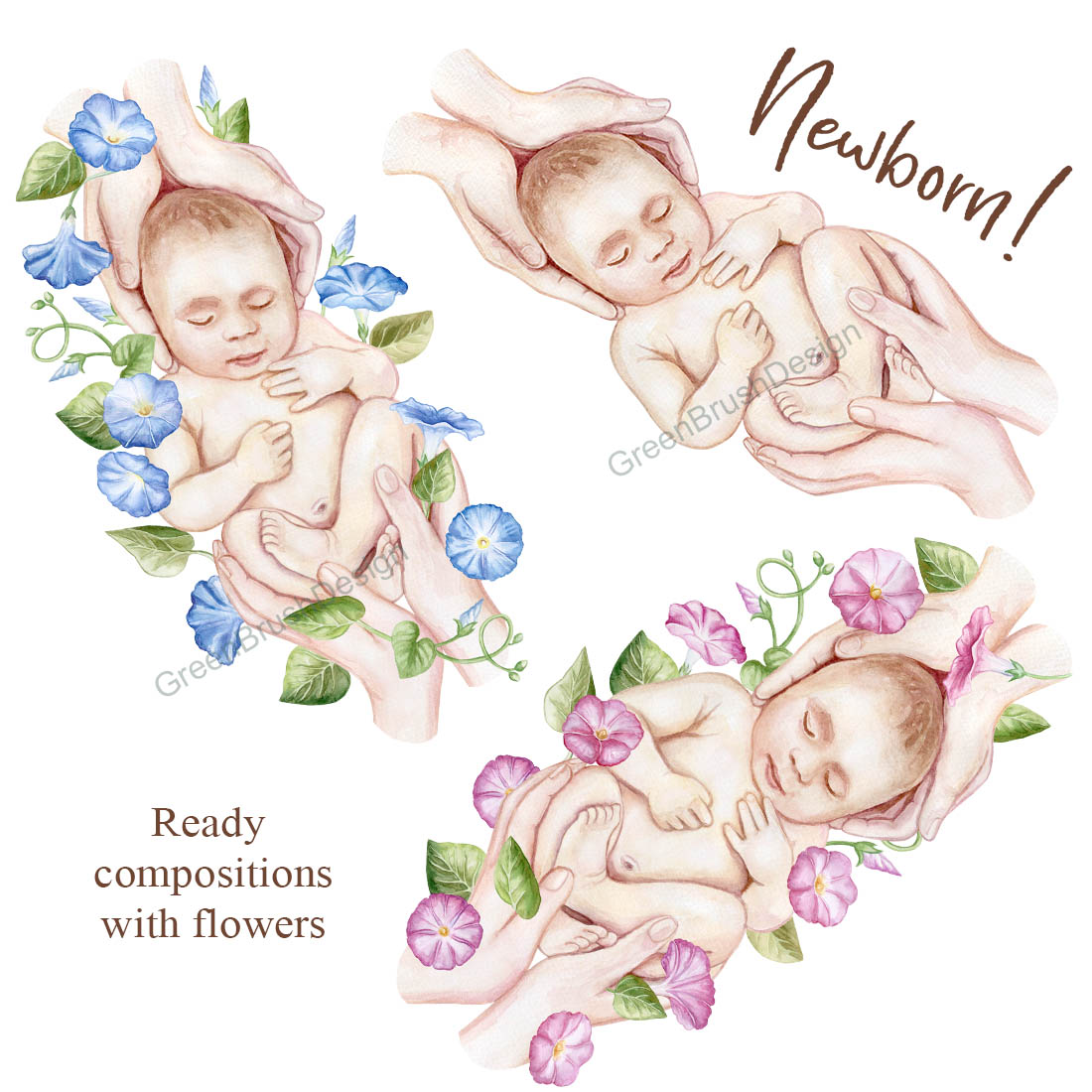Newborn in Parental Hands Family cover image.