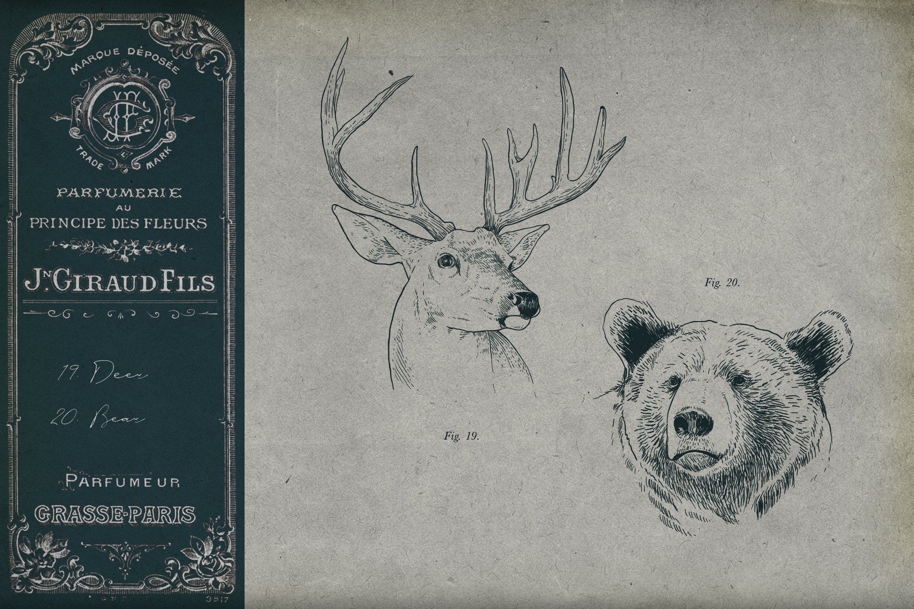 Deer and bear are ready for your logo.