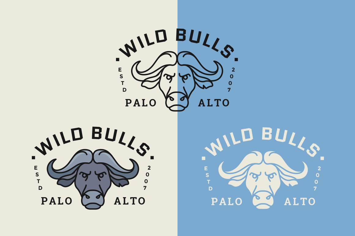 Creative logo with a wild bull.