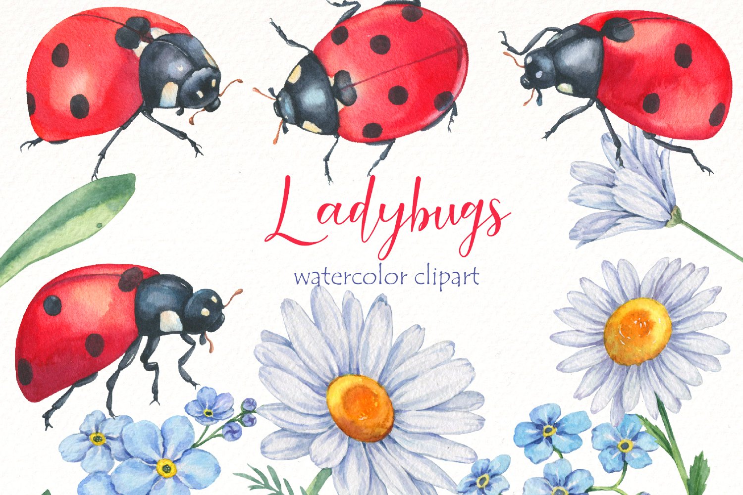 Cover image of Watercolor ladybug clipart bundle.