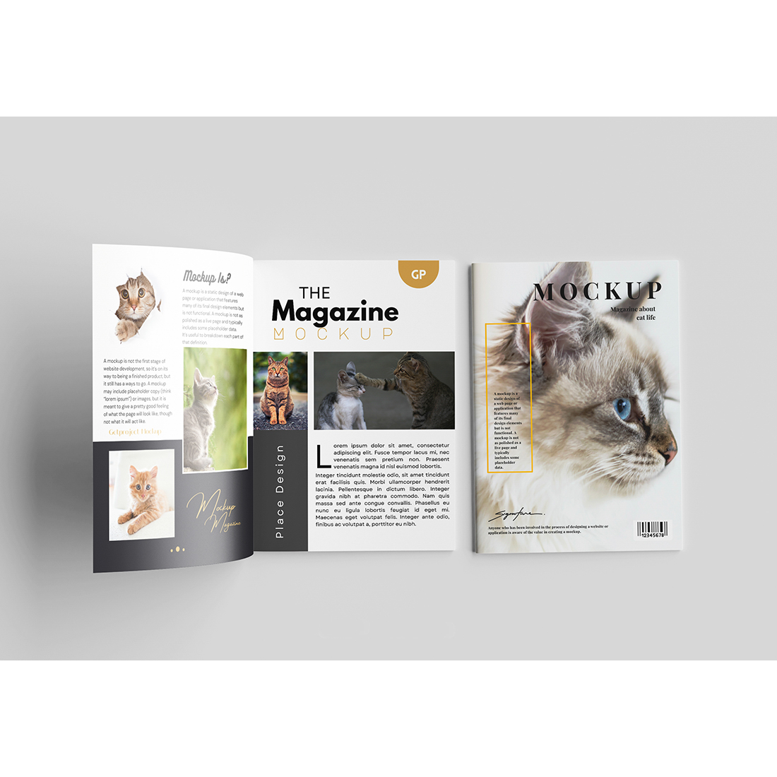 5 Realistic Magazine Mockup