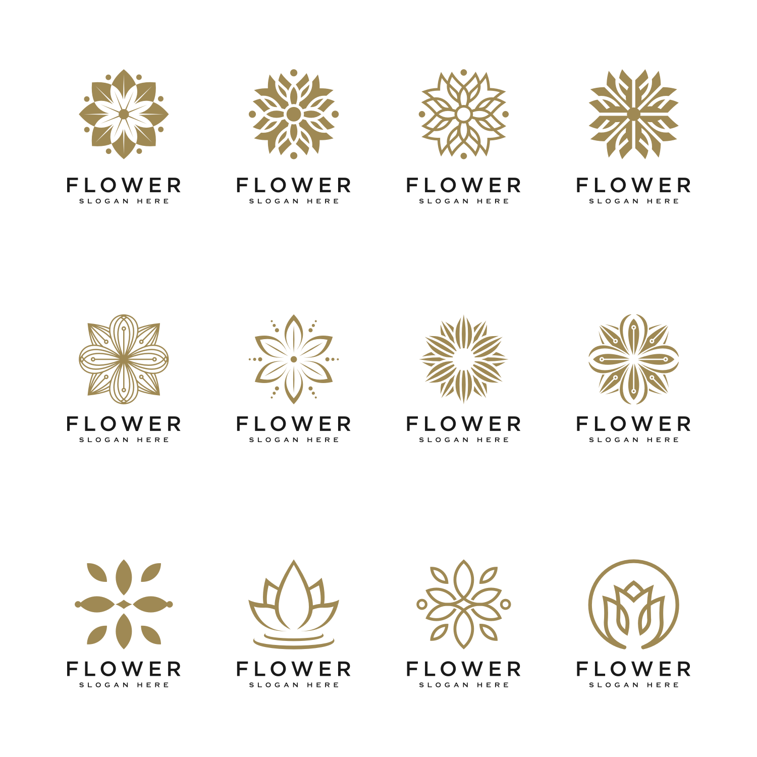 Set of Flower Nature Logo Design Template Vector cover image.