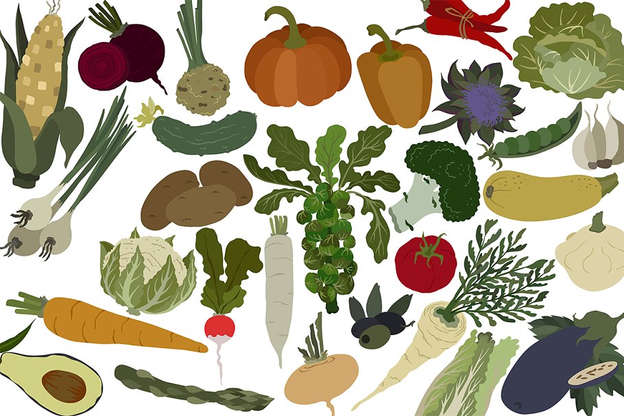 Colorful set of vegetables illustration.