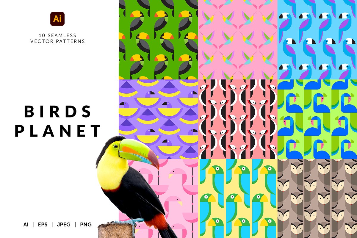 Cover image of Birds Planet Geometric Patterns.