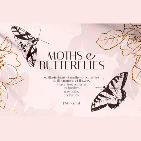 Moths & Butterflies Illustration Set cover image.