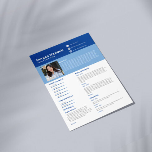 Blue and white resume on a gray background.