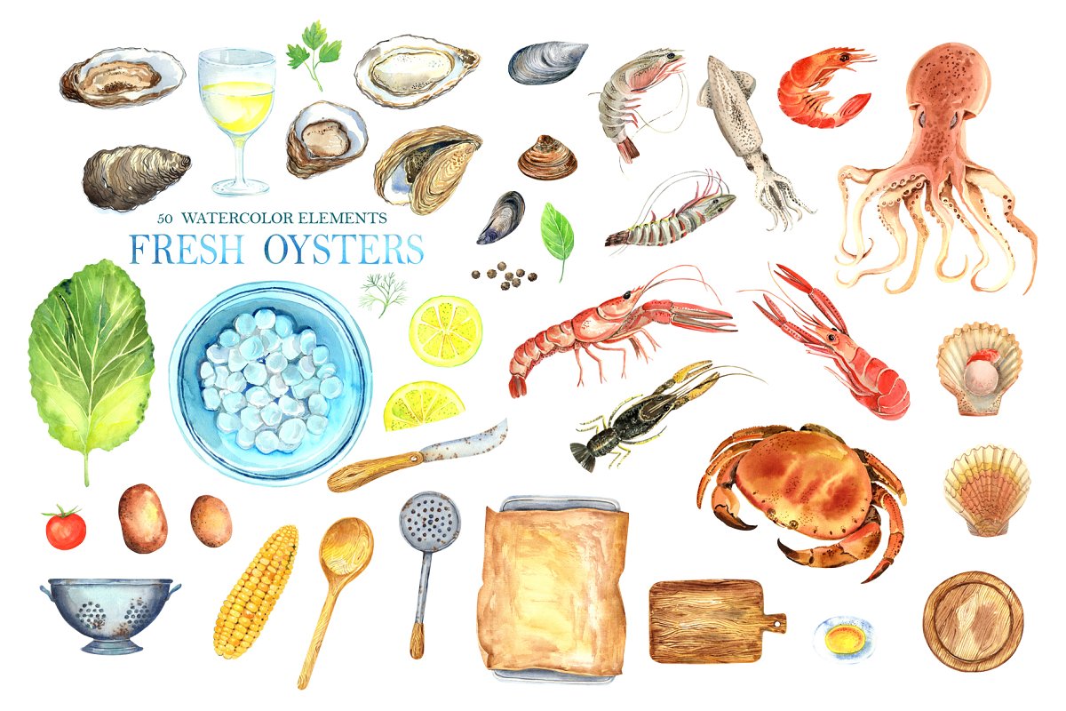 %0 Watercolor elements of fresh oysters.