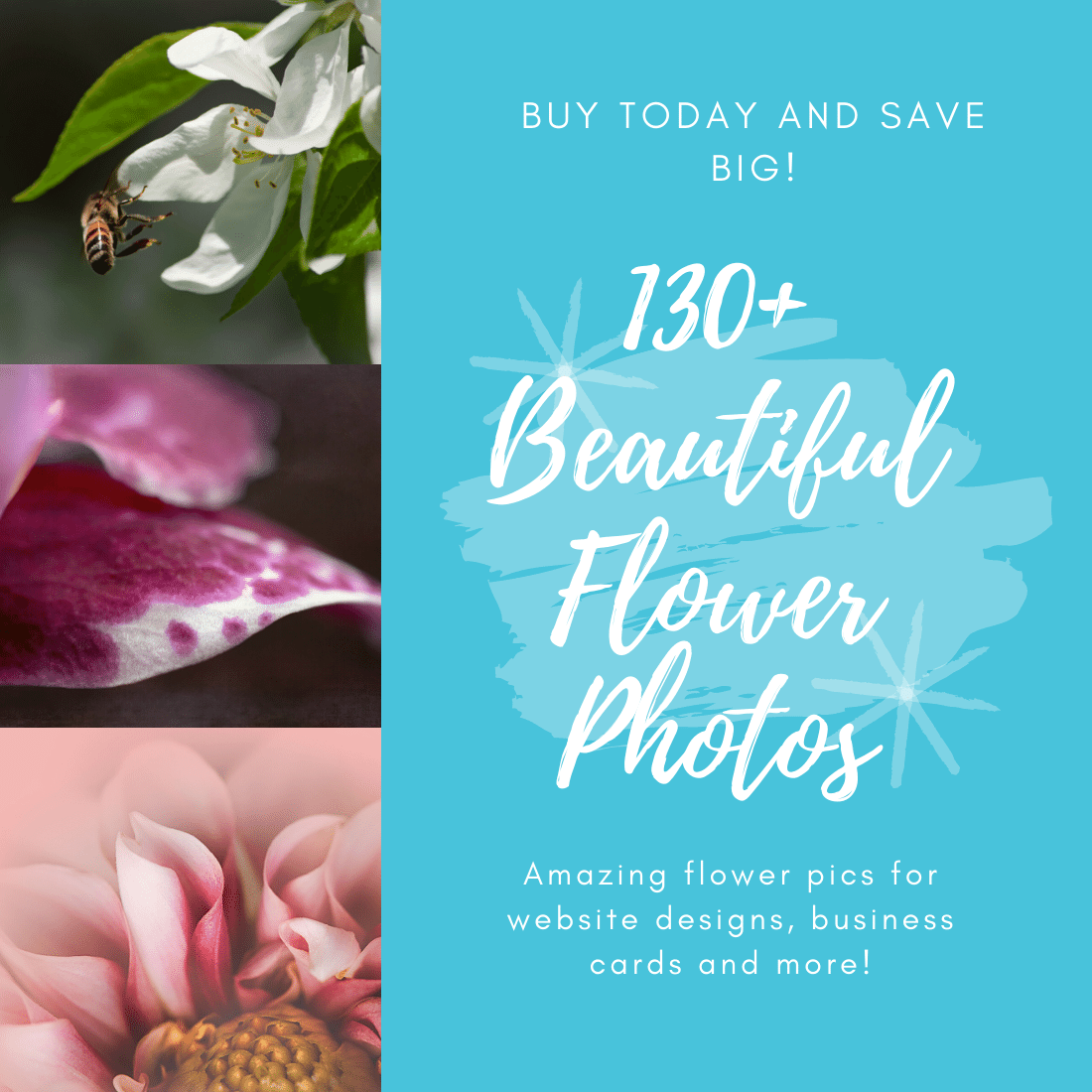 130 Beautiful Stock Photos Of Flowers Preview Image.