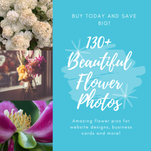 130 Beautiful Stock Photos Of Flowers Cover Image.