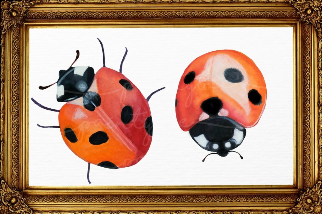 Ladybug Watercolor Clipart SVG - MasterBundles