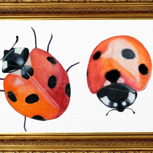 Ladybug Watercolor Clipart SVG | Master Bundles