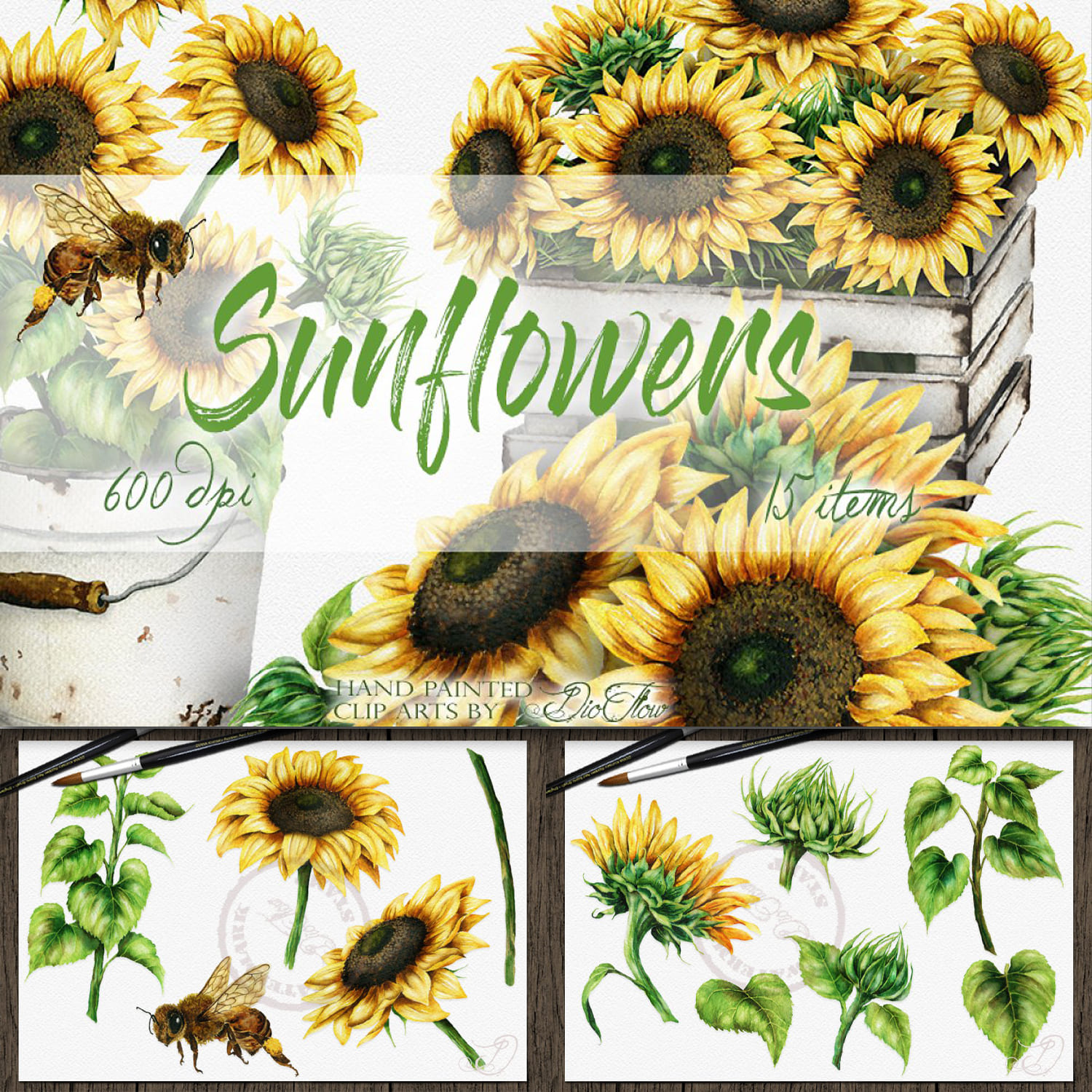 Sunflower Watercolor Clipart Rustic.