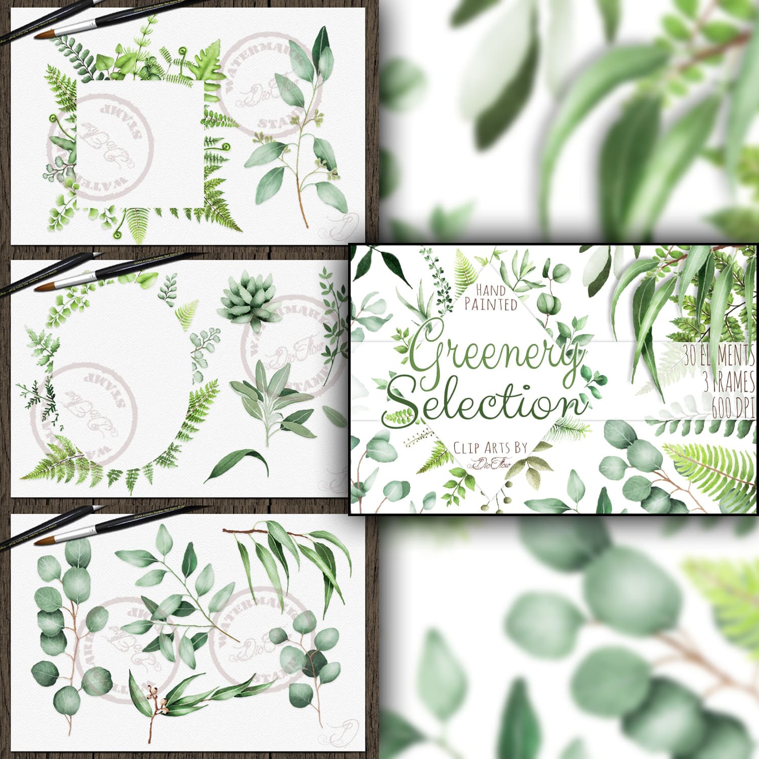Greenery Watercolor Clipart Leaves cover.