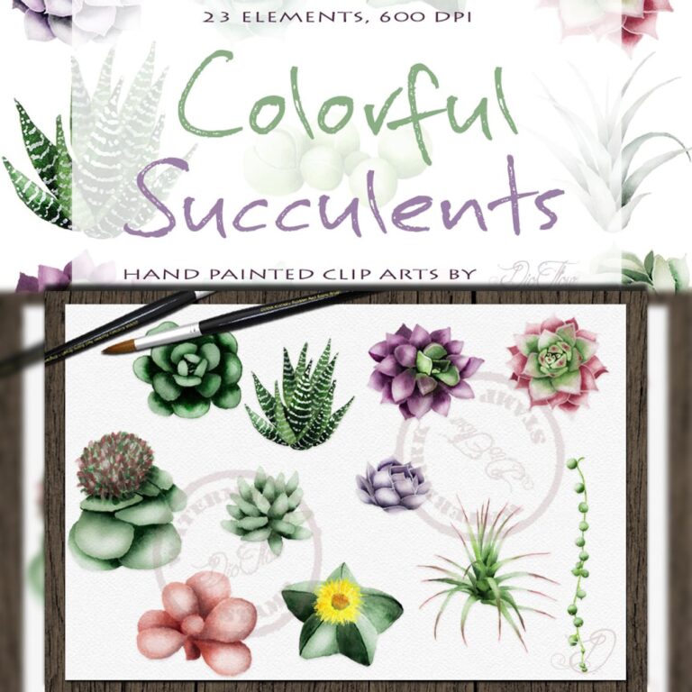 Succulent Watercolor Clipart | Master Bundles