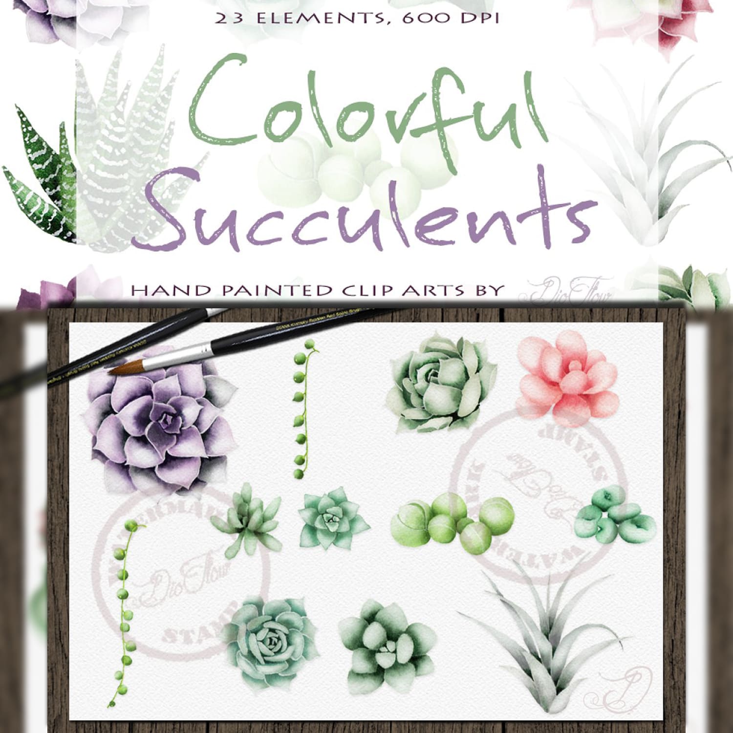 Succulent Watercolor Clipart cover.