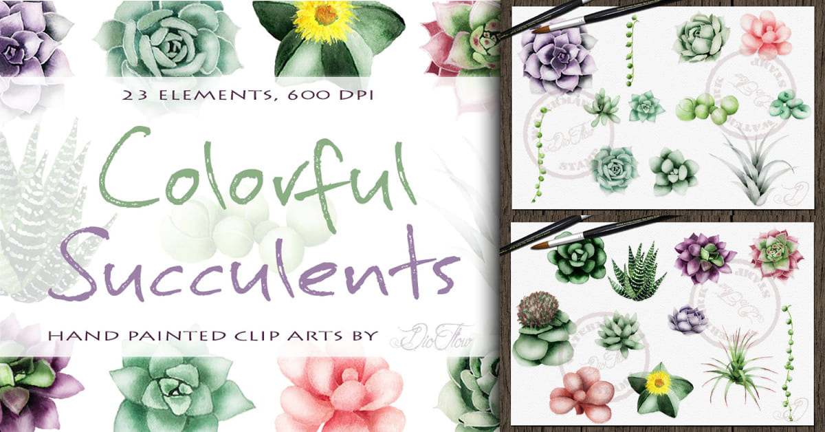 Succulent Watercolor Clipart | Master Bundles