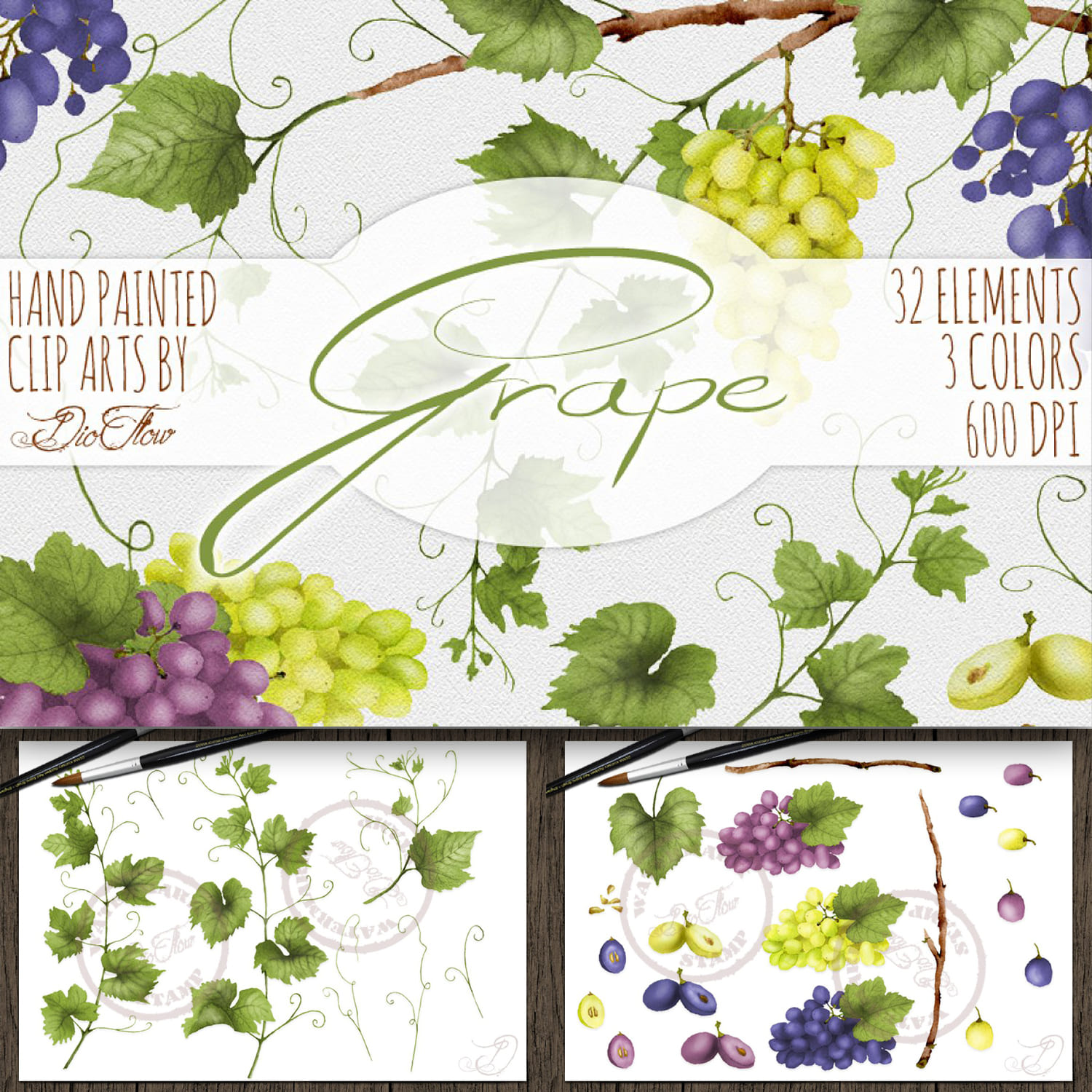Grape Watercolor Clip Art cover.