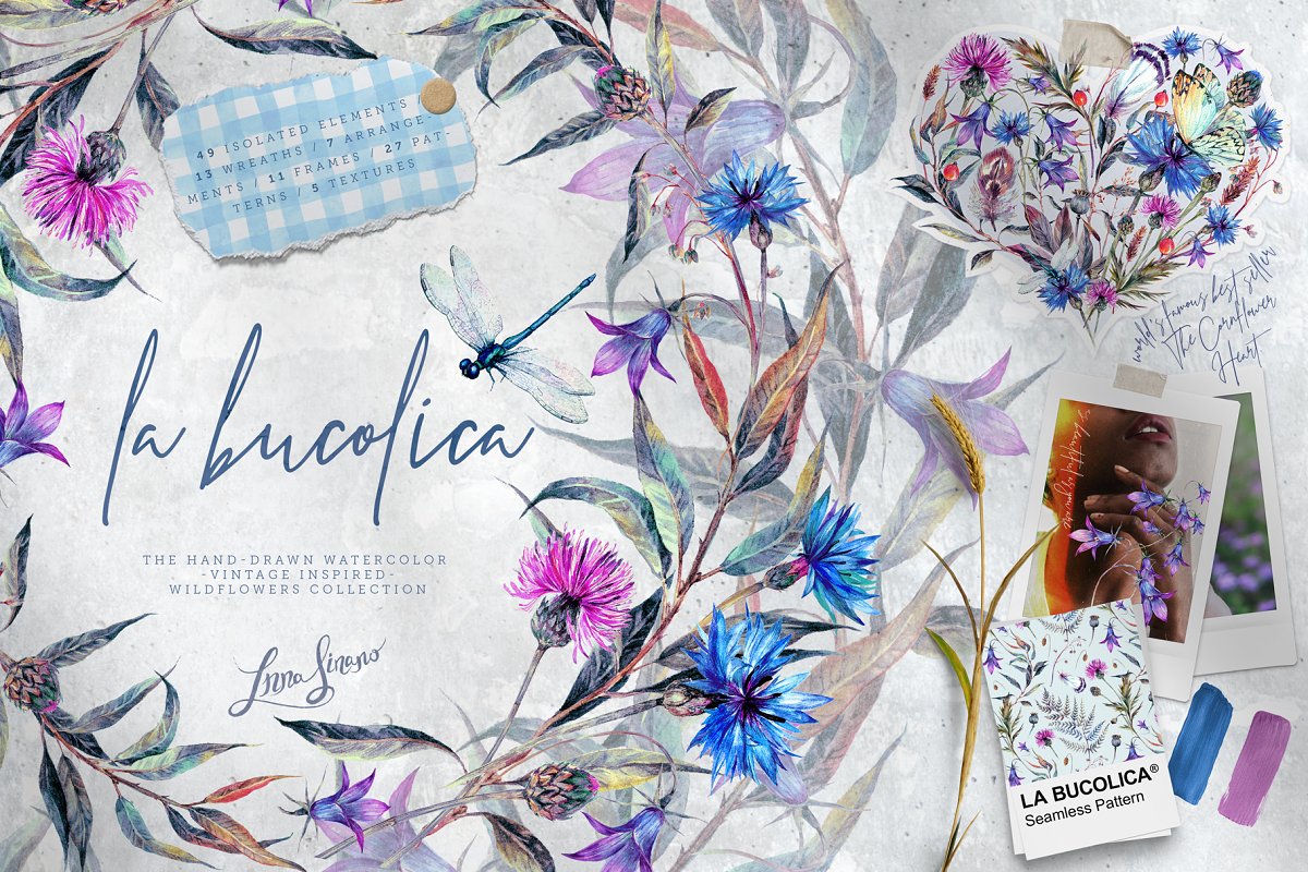 Cover image of La Bucolica | Meadow Wildflowers Set.