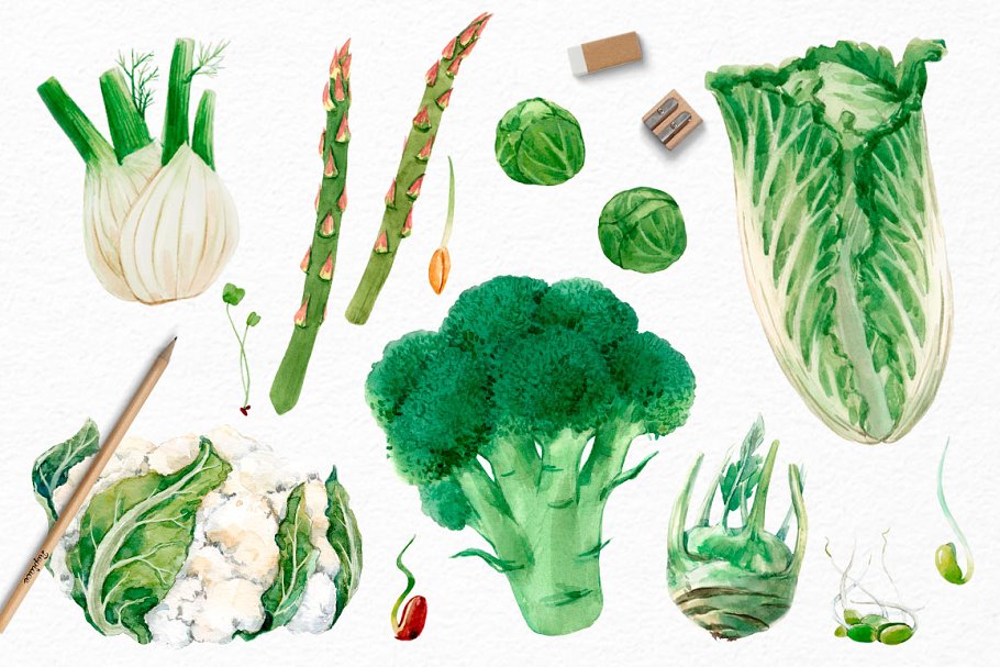 There are many green eco food elements.