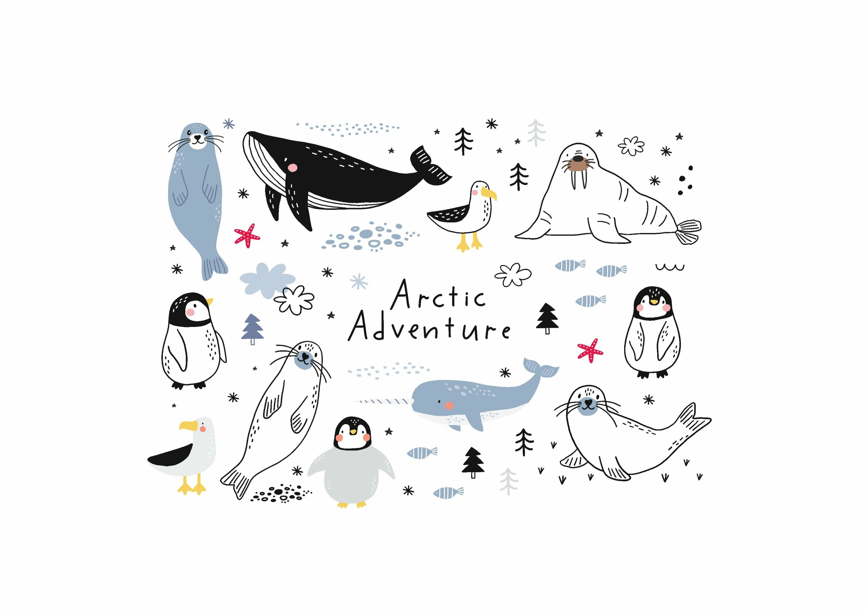 High quality illustrations in a polar style.