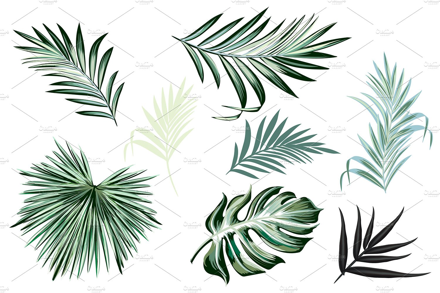 Diverse of palms in different styles.