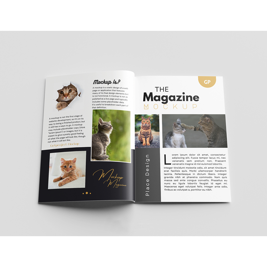 5 Realistic Magazine Mockup examples.