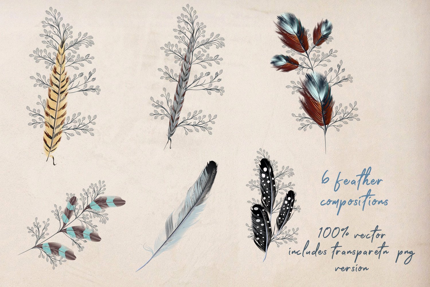 Beige background with diverse of creative feathers.