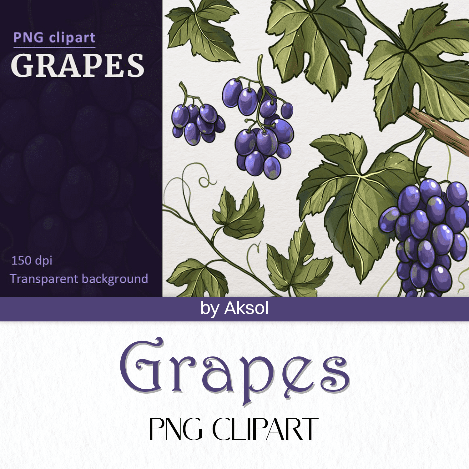 Grapes. PNG clipart created by Aksol.