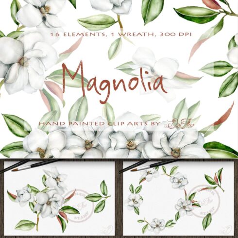 Magnolia Watercolor Clip Art.