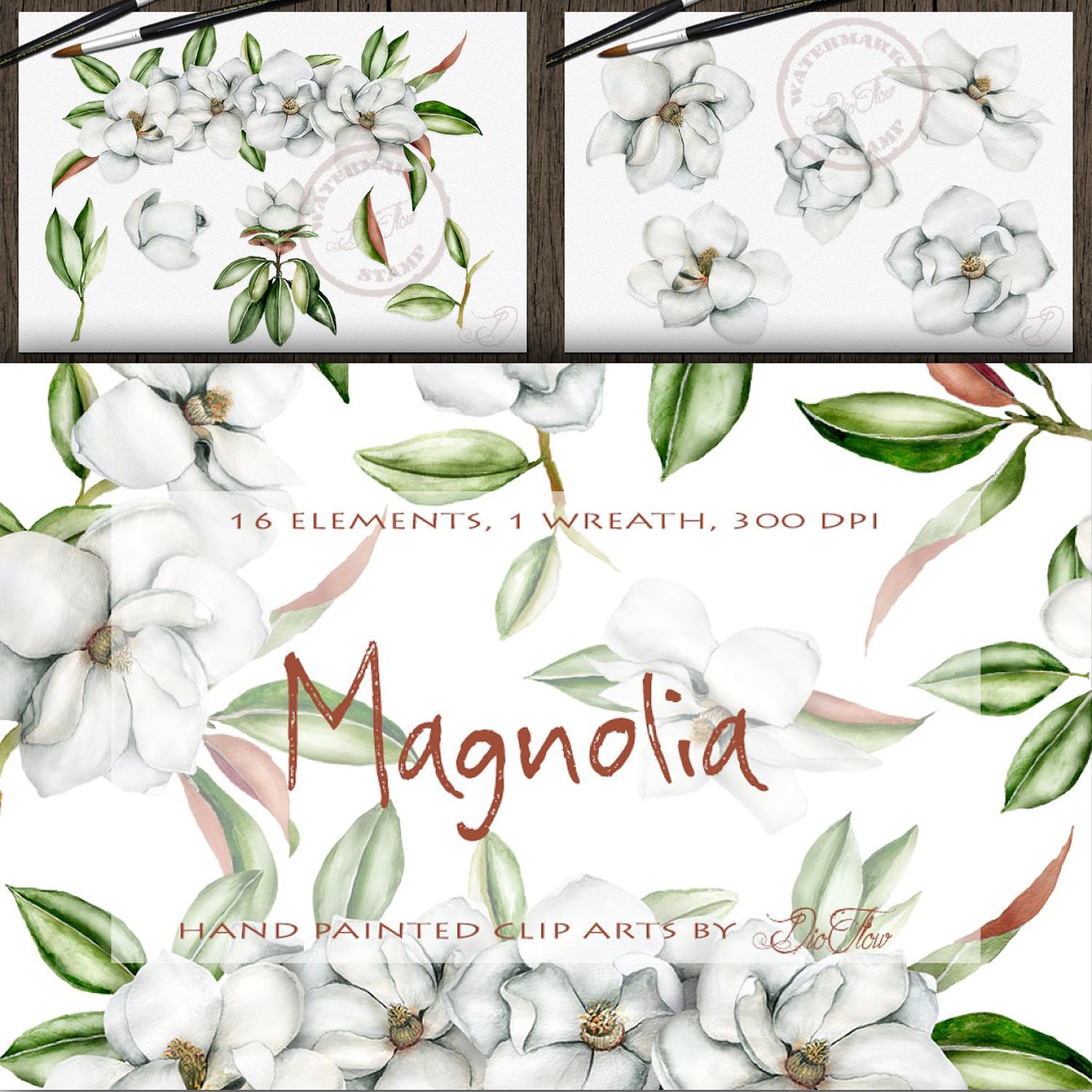 Magnolia Watercolor Clip Art cover.