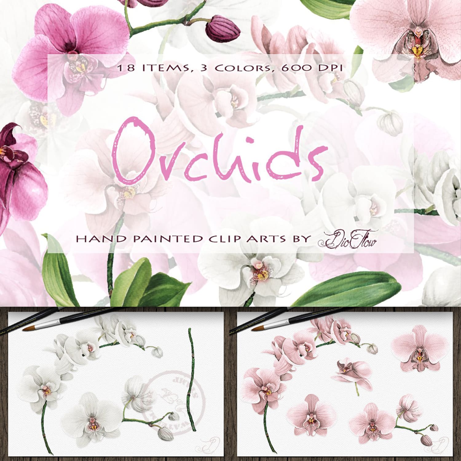 Orchid Watercolor Clip Art cover.