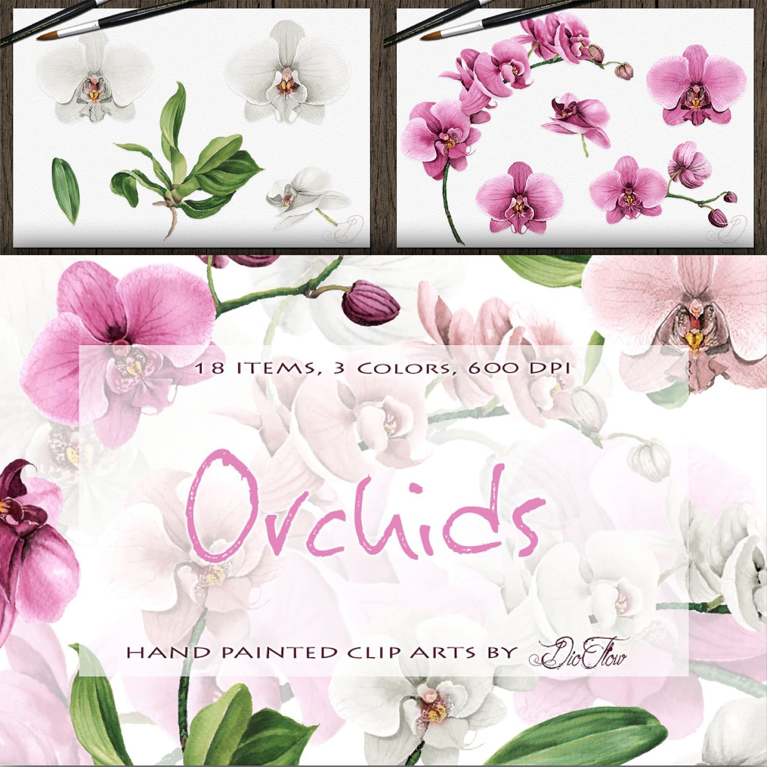Orchid Watercolor Clip Art.