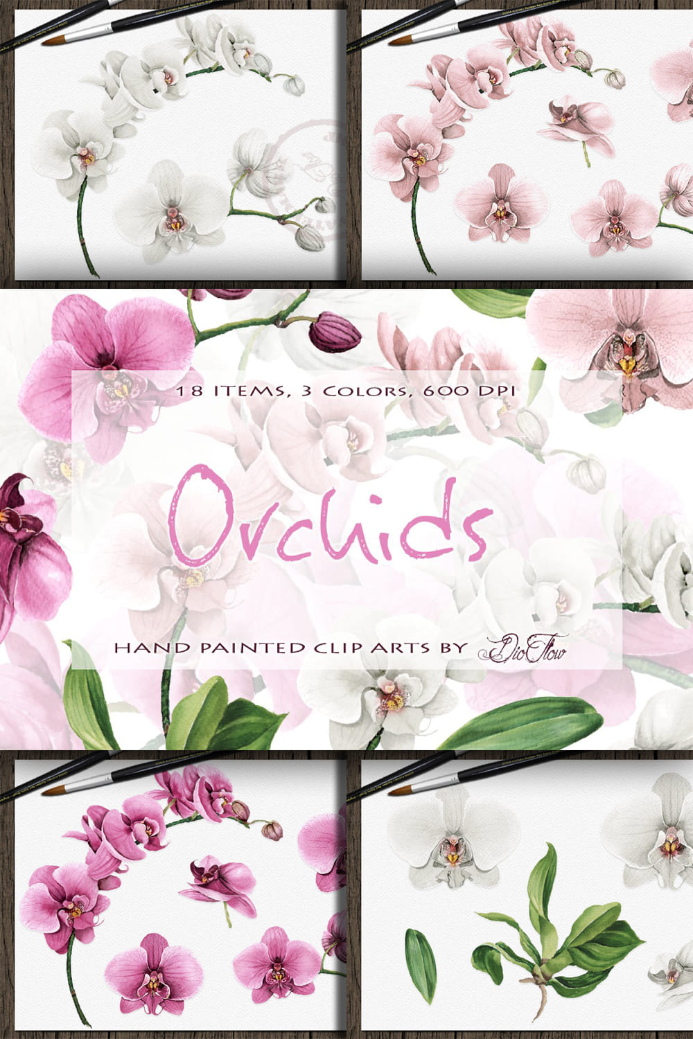2686372 orchid watercolor clip art pinterest 1000 1500