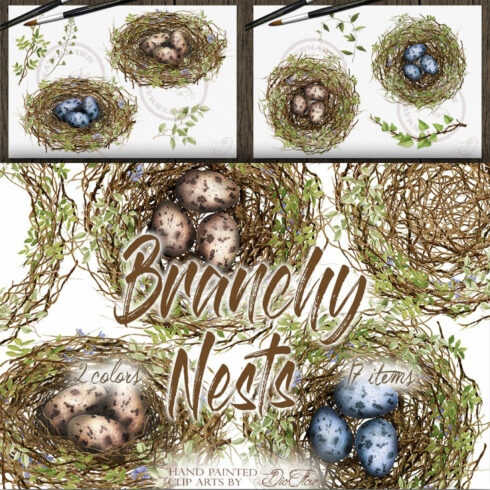 Branchy Nest Watercolor Clip Art.