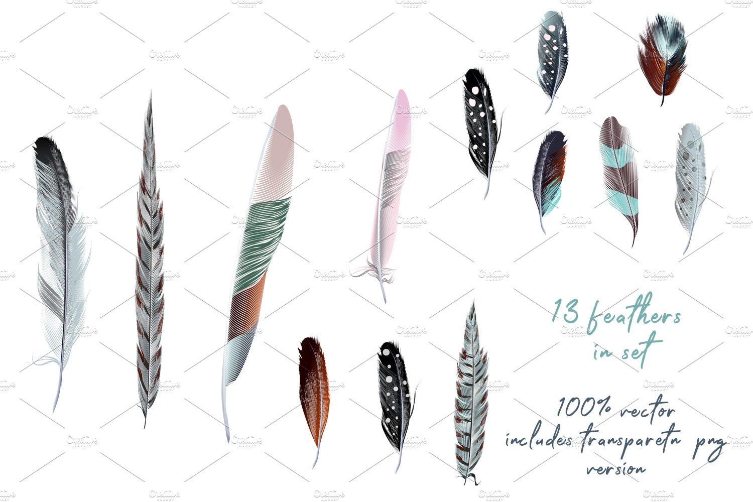 Cool diverse of feathers.