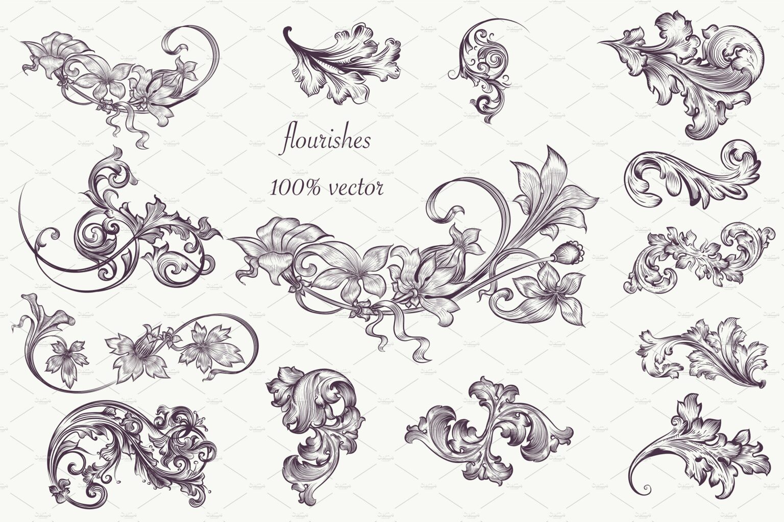 Premium Flourishes, Vector Clip Art – MasterBundles