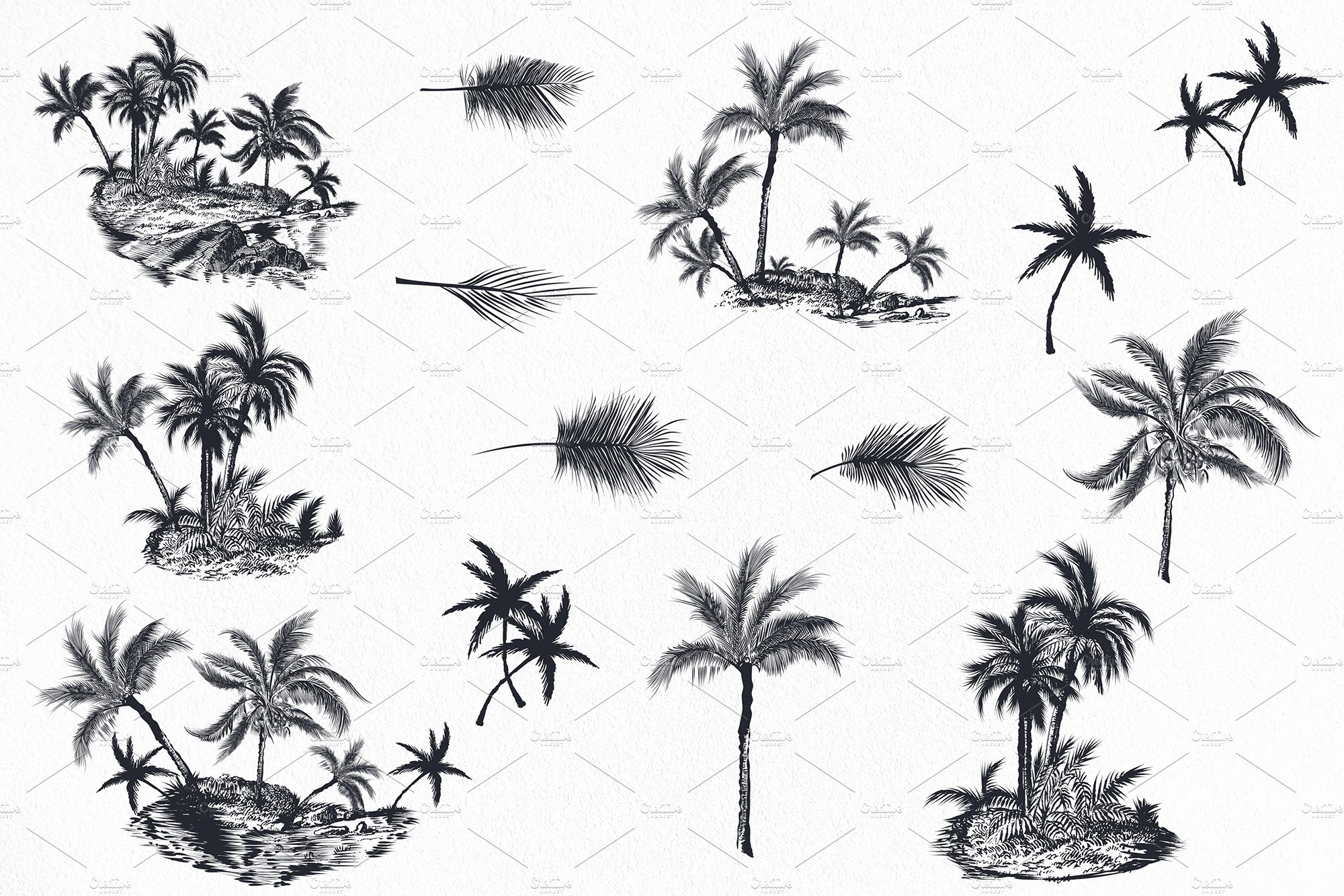 Black palms collection.