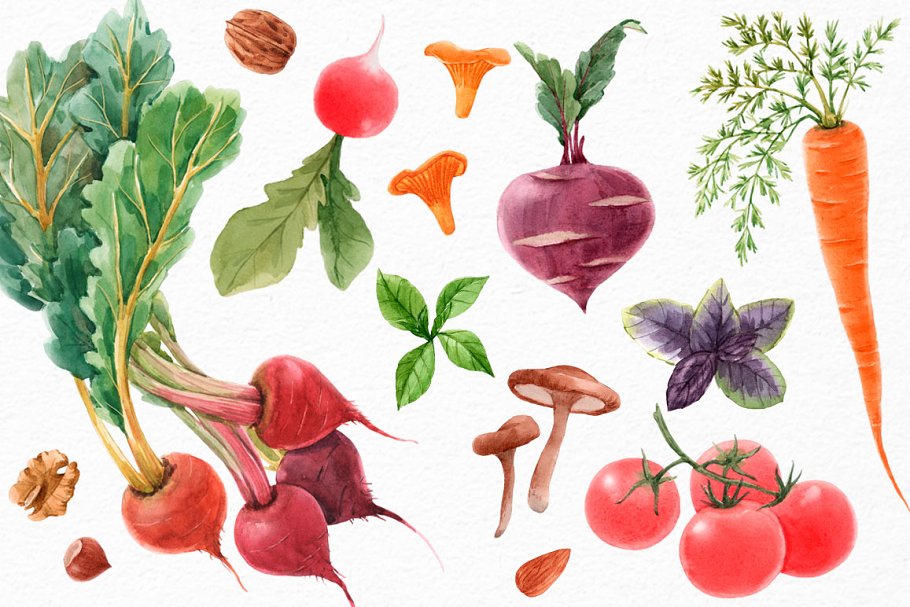 Bright hand drawn collection of watercolor vegetables.