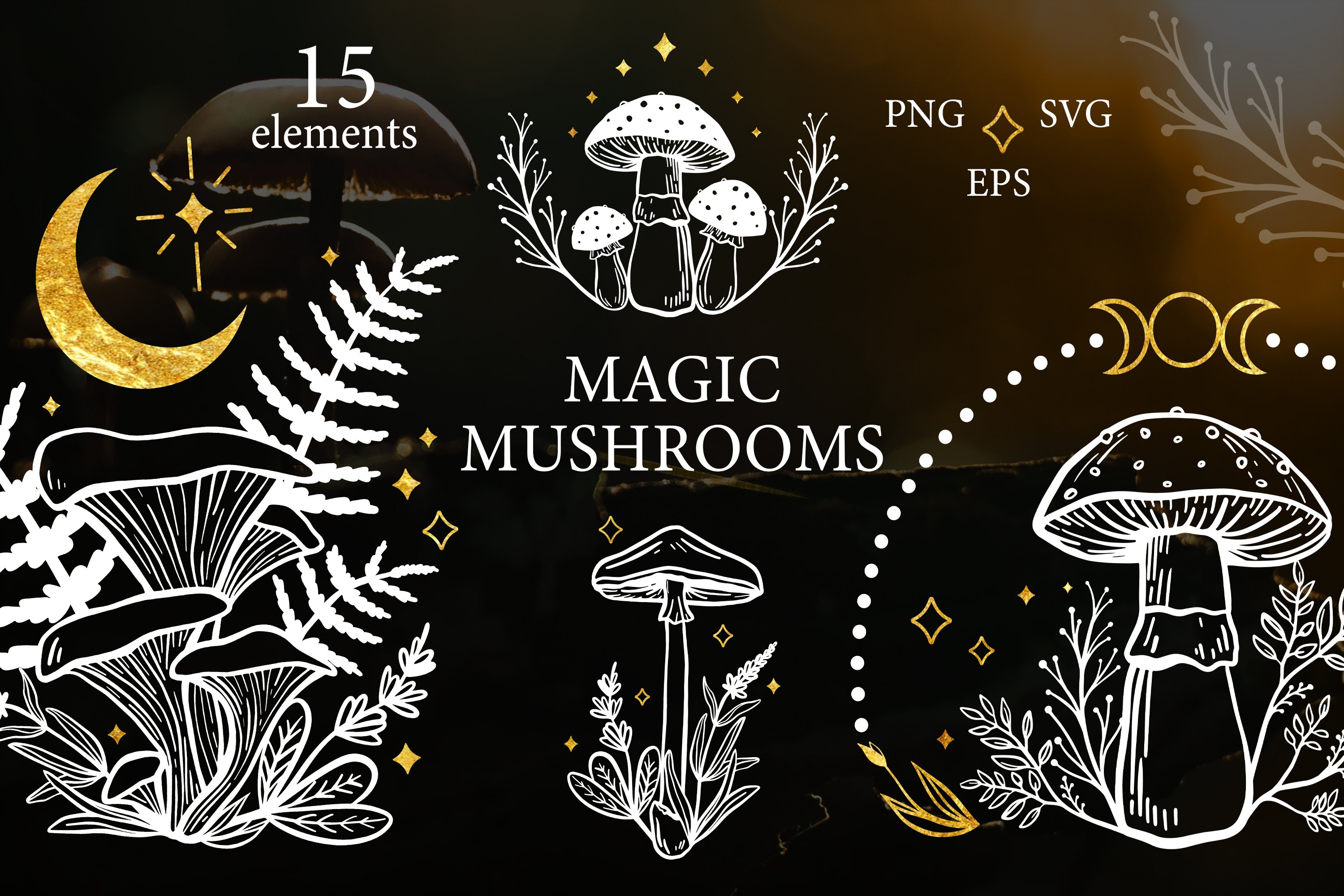 Luxury magic mushrooms collection.