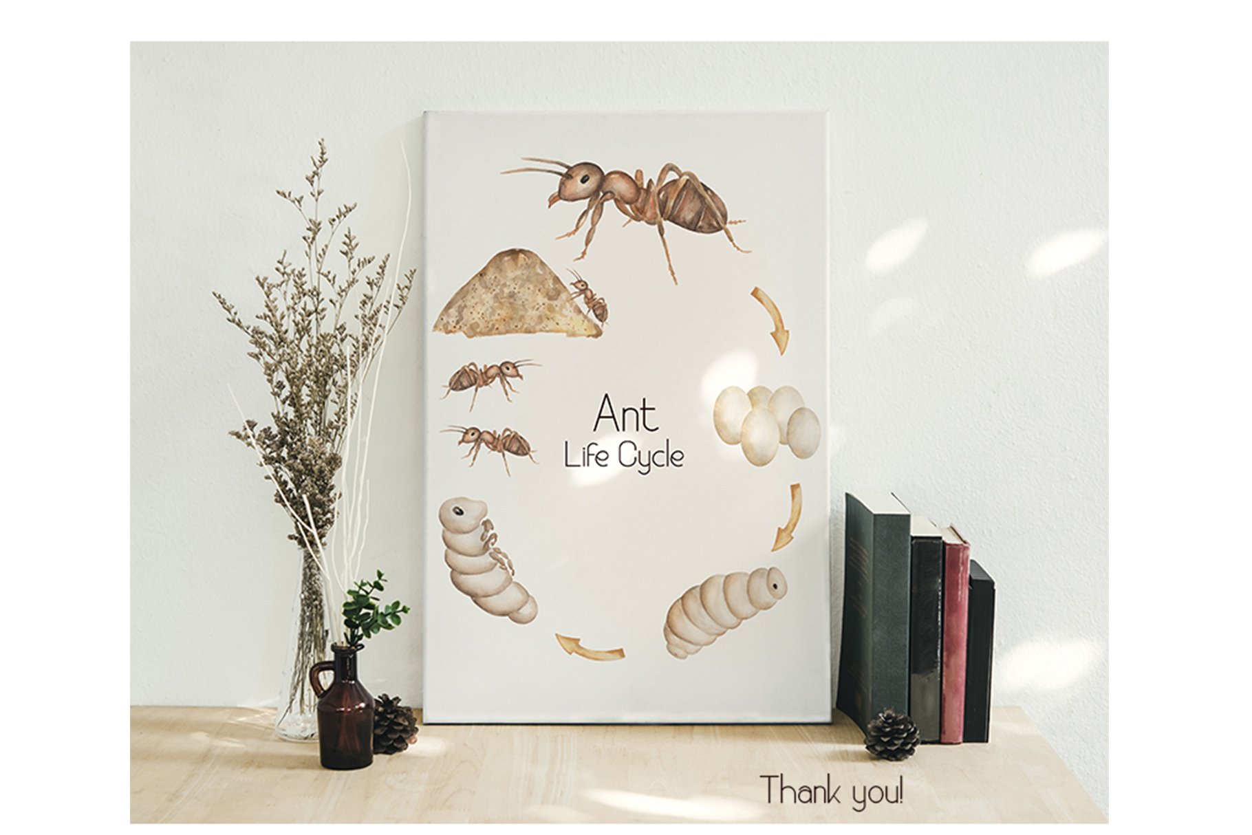 Use this ant collection for different purposes.