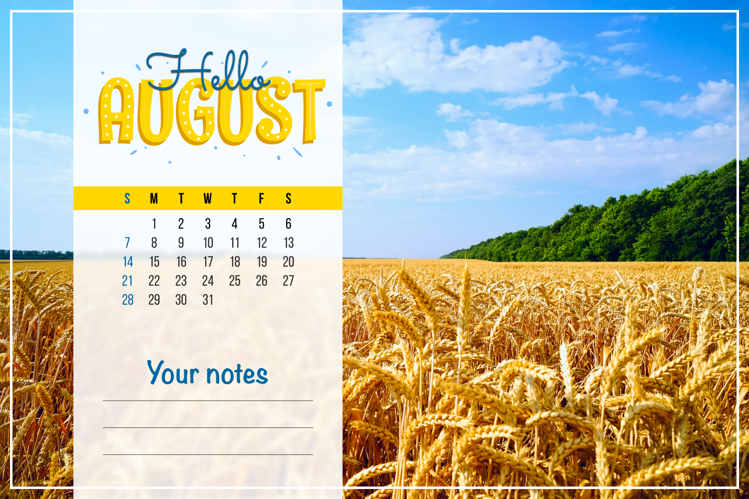Calendar against the background of a field with ripe wheat.