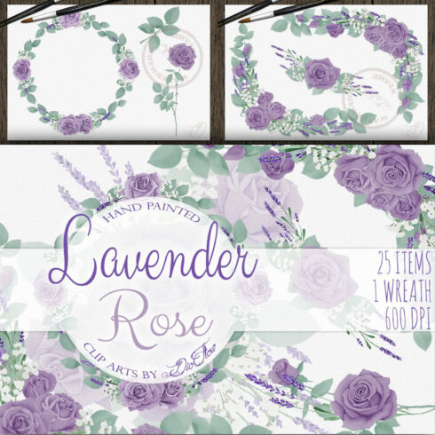 Lavender Rose Illustration.