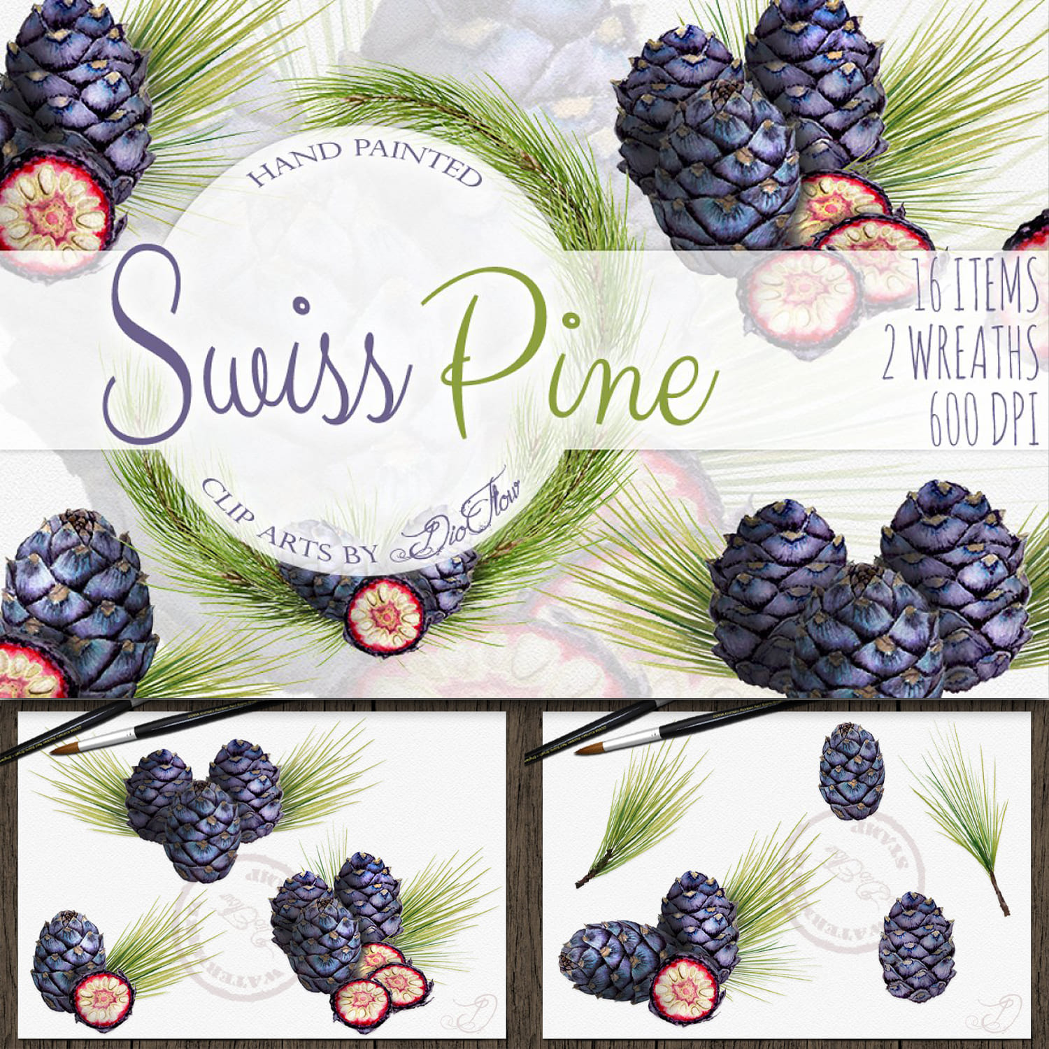 Swiss Pine Watercolor Illustration cover.
