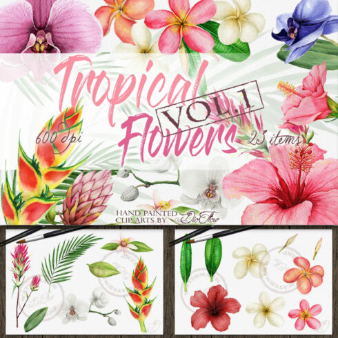 Tropical Flowers Vol. 1 Illustration.