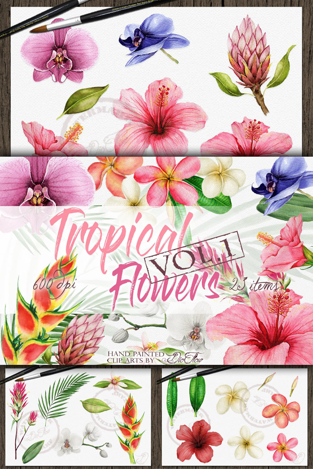 3595107 tropical flowers vol 1 illustration pinterest 1000 1500