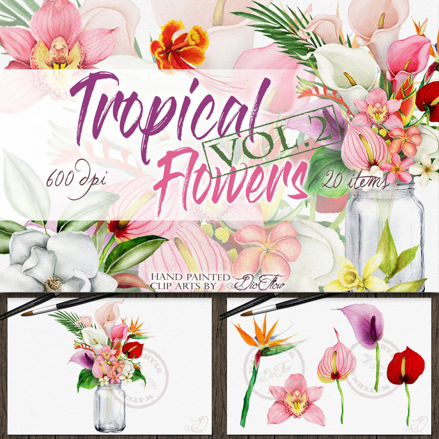 Tropical Flowers Vol. 2 Illustration cover.